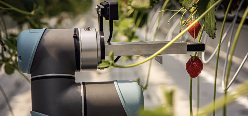 Díky technologiím Siemens může robot na sklizeň jahod trénovat ve virtuálním prostoru